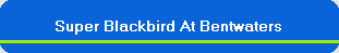 ./superblackbirdatbentwaters.htm